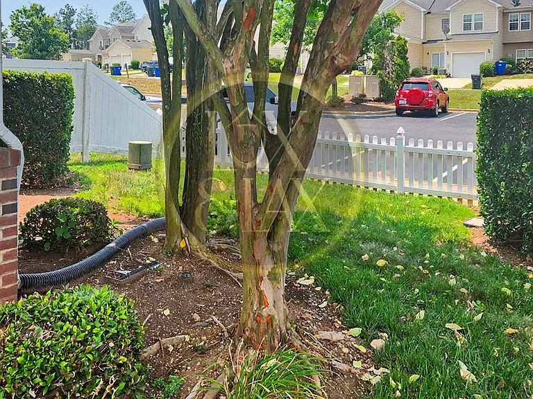 Front Yard (Side View)