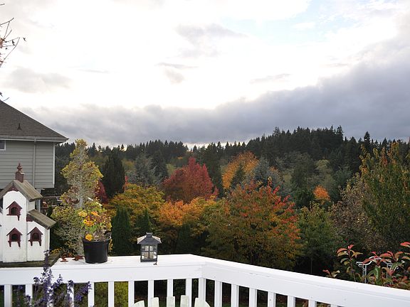 Huge entertaining size deck