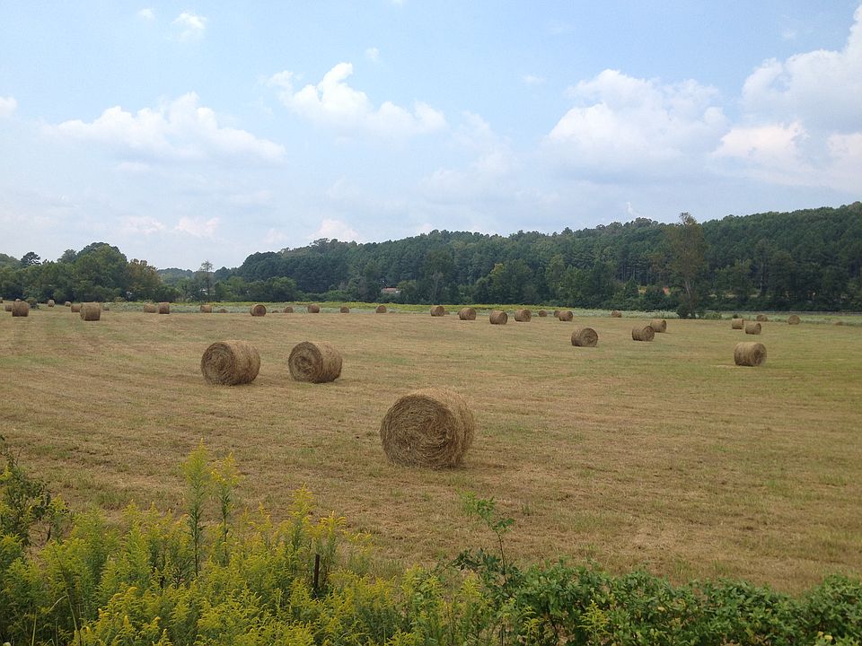    5 beautiful acres 