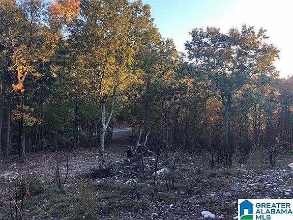 2nd image of 0 Laurel Cir SE Lot 57
