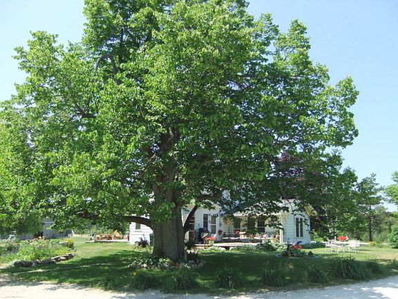 5th image of 10322 Townline Dr