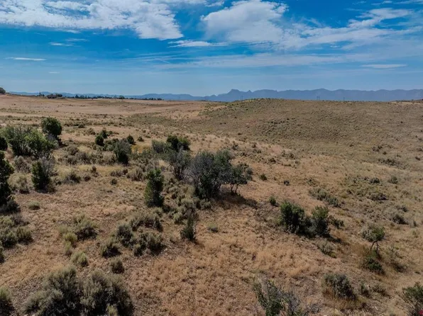 29373 Hwy 184, Dolores, CO 81323