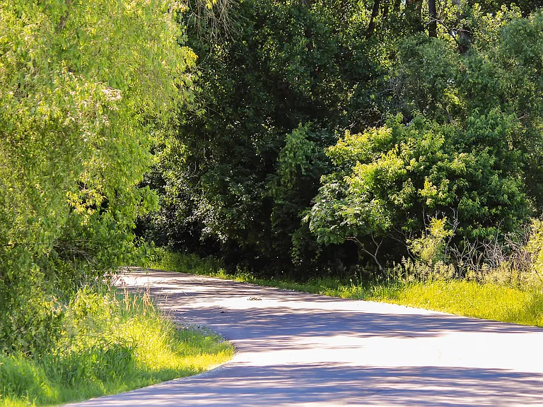 Tanager Creek — Photo 15