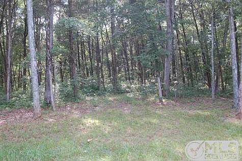 5th image of 4734 Wildberry Ln