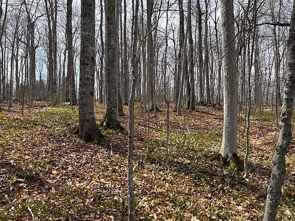 5th image of Lot 12 Off Conant (end of Johnson Rd) Road