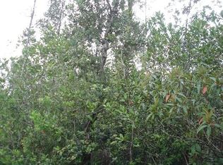 LOT 21st, Mountain View, HI 96771