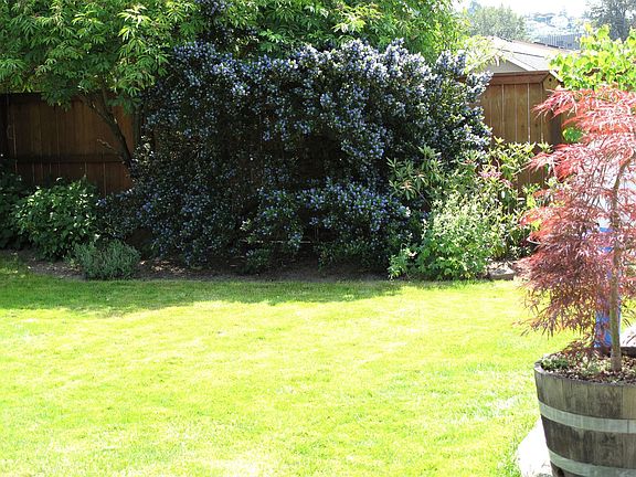 Private fenced back yard