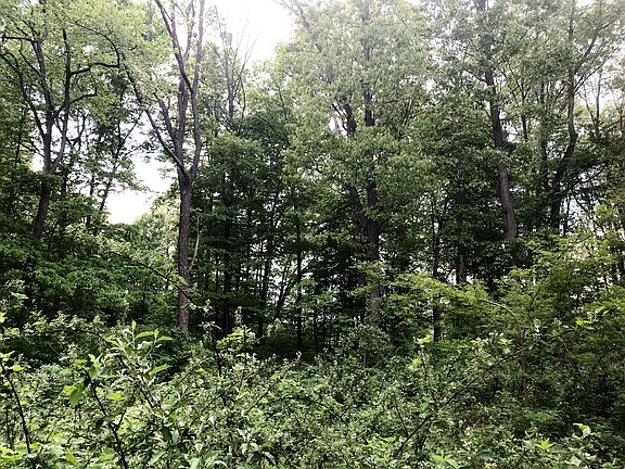 3rd image of Chickadee Ct #D