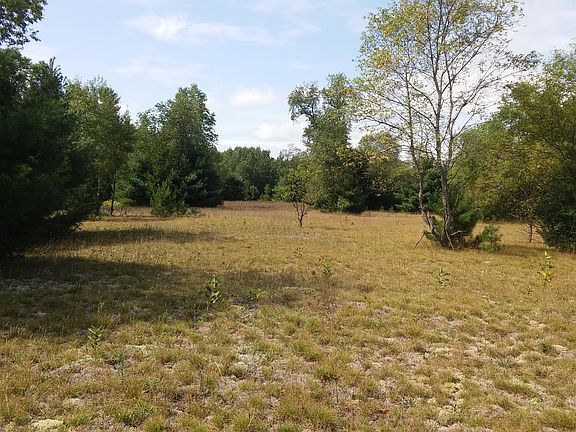 5th image of 1448 Badgley Road 40 Acres