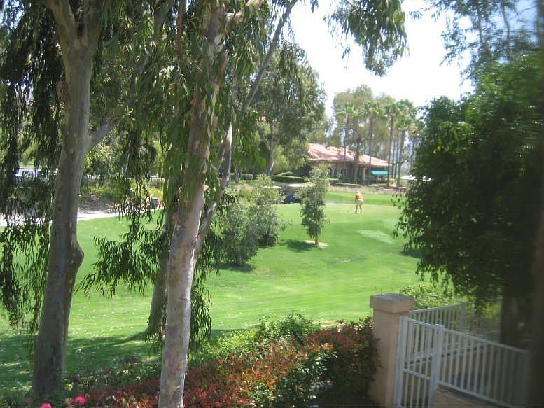 View from Back Yard
