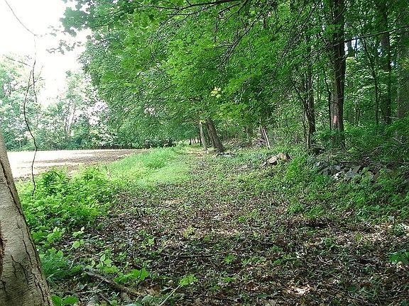 4th image of 0 Mellicks Woods Rd