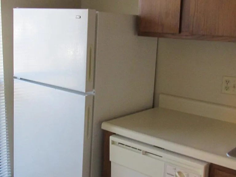 1320 W Linden St — Photo 21