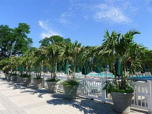 Sold by Robert E. Hill  | media 45