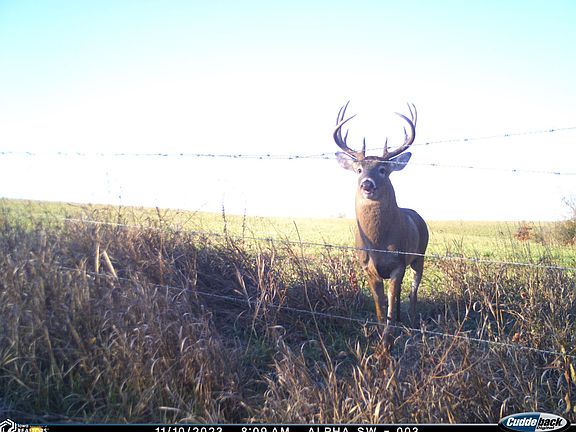 2nd image of 275th St