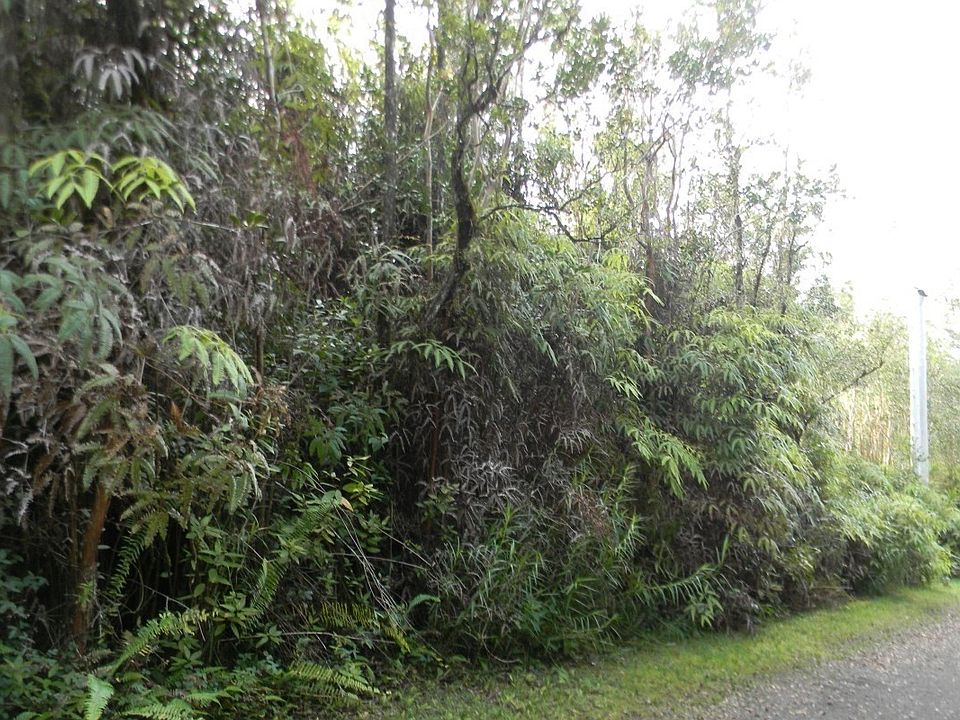 2nd image of Road 4 Kea #Io