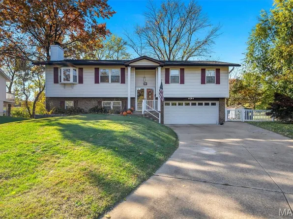 42 Chestnut Ave, Saint Louis, MO 63119