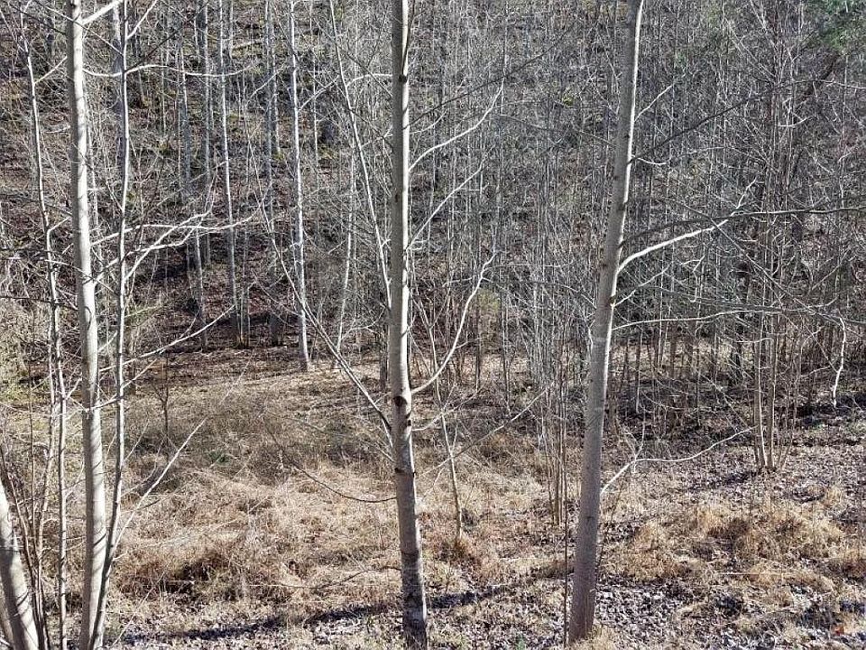 2nd image of Miller Hollow Rd