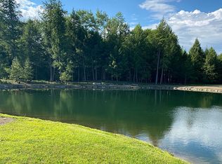 75 Dimmick Rd, Gansevoort, NY 12831