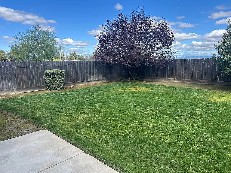 881 Hill Ave — Photo 12
