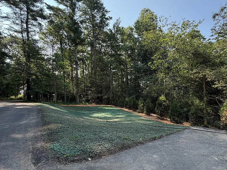 101 Buttonwood Ln — Photo 11