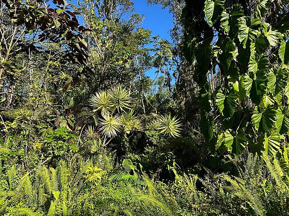 3rd image of 13-1100 Kahukai St Lot 70