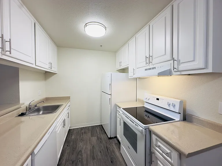 5551 Jacquiline Way #11 — Photo 4