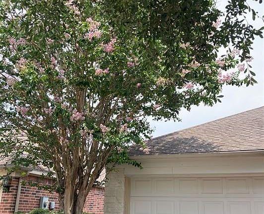 2nd image of 2114 Thorn Berry Creek Ln