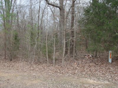 10 Lakeview Cv, Jackson, TN, 38305