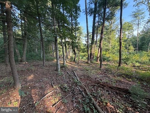 3rd image of LOT 9 Hickory Ln