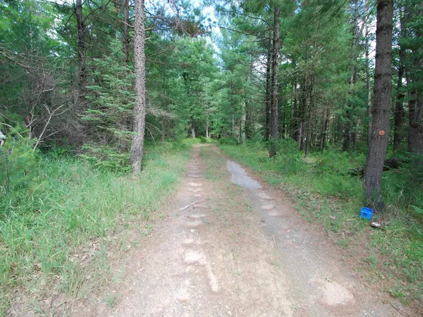 Vl Primrose Ln, West Branch, MI 48661