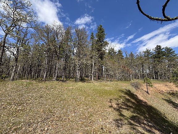 2nd image of Wahkiacus Heights Rd