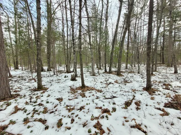 Cherokee Ct, Rogers City, MI 49779