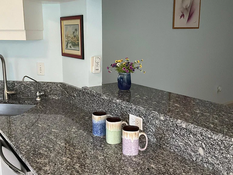 819 Montrose Dr #202 — Photo 12