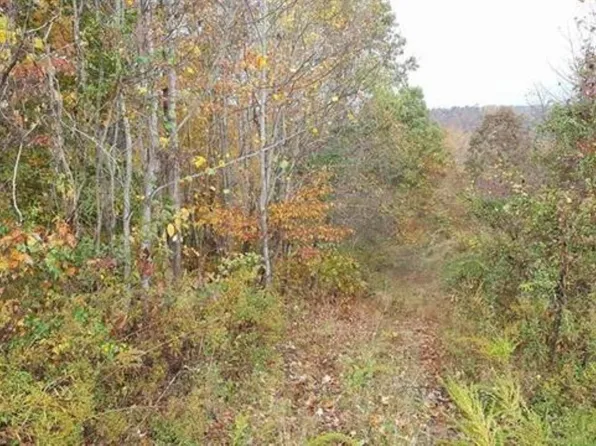 280 Pennington Holw, Olive Hill, KY 41164