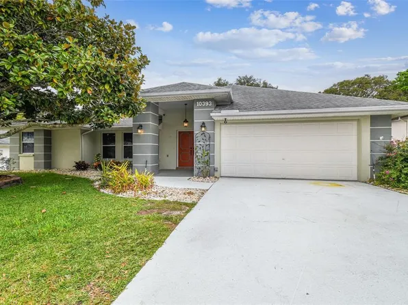 10393 Ventura Dr, Spring Hill, FL 34608