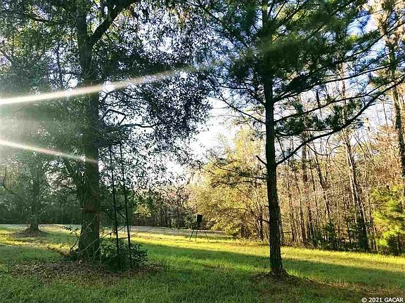 3rd image of 21593 NW County Road 241