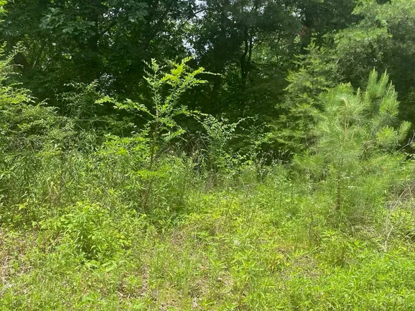 0 Village Springs Rd #0, Springville, AL 35146