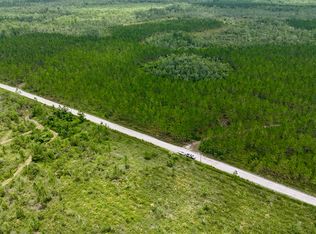 0 Fire Tower Rd, Manor, GA 31550