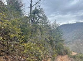 00 Brushy Fork Rd, Sylva, NC 28779