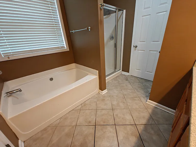 Master Bathroom (Lower Level)