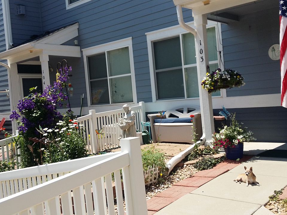 Front yard
