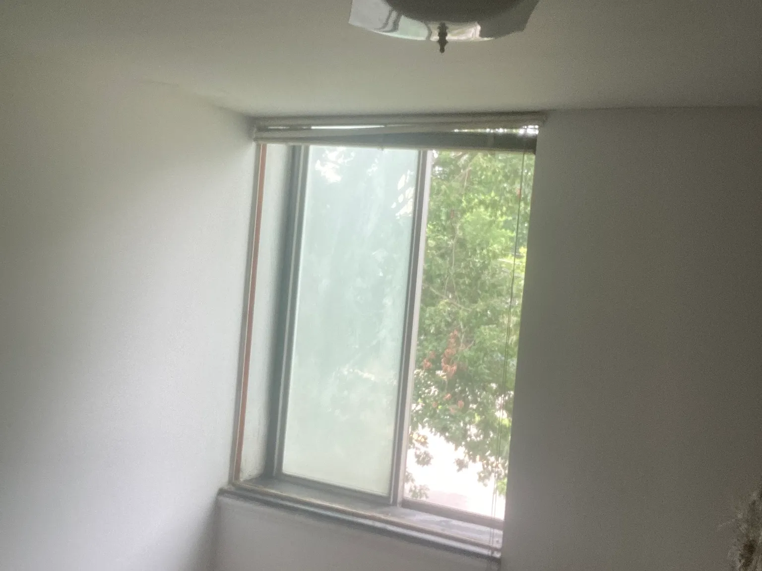1 bed, 600 sqft, $850 — Photo 2
