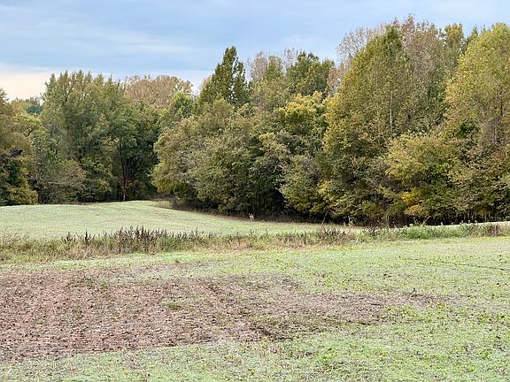 5th image of 0 Williams Switch Rd Lot Wp001