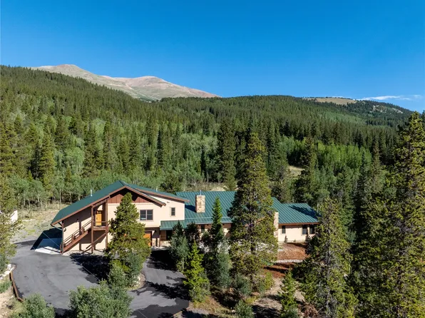 1227 Edgewood Road, Alma, CO 80420