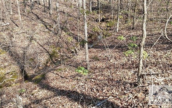 5th image of LOT 25-26 Beaver Dam Drive