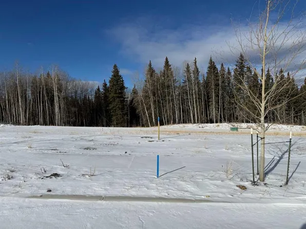 464 Lily Ave, Nordegg, AB T0M 2H0