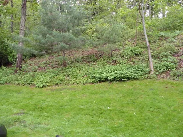 18 Great Hill Rd — Photo 19