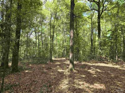 1131 Wolf Log Rd, Flomaton, AL, 36441