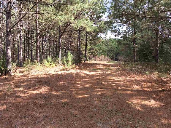 3rd image of County Road 529