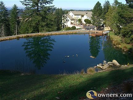 Pond with home beyond